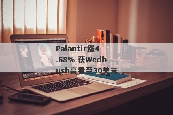 Palantir涨4.68% 获Wedbush高看至30美元