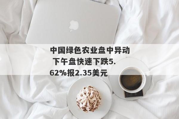 中国绿色农业盘中异动 下午盘快速下跌5.62%报2.35美元