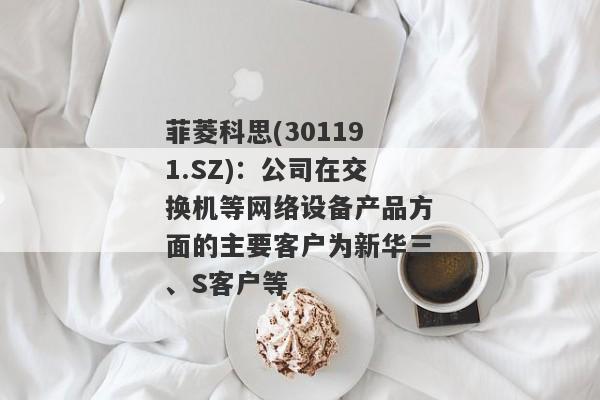 菲菱科思(301191.SZ)：公司在交换机等网络设备产品方面的主要客户为新华三、S客户等