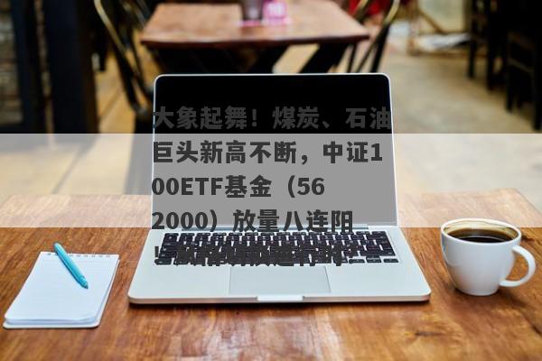 大象起舞！煤炭、石油巨头新高不断，中证100ETF基金（562000）放量八连阳！风格切换进行时？