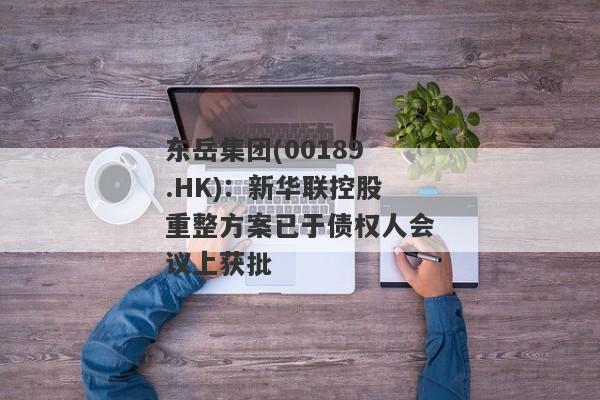 东岳集团(00189.HK)：新华联控股重整方案已于债权人会议上获批