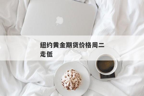 纽约黄金期货价格周二走低