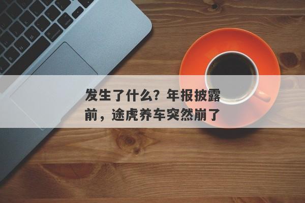 发生了什么？年报披露前，途虎养车突然崩了