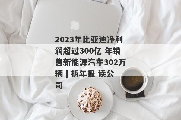 2023年比亚迪净利润超过300亿 年销售新能源汽车302万辆 | 拆年报 读公司