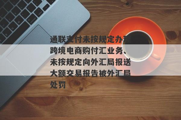 通联支付未按规定办理跨境电商购付汇业务、未按规定向外汇局报送大额交易报告被外汇局处罚