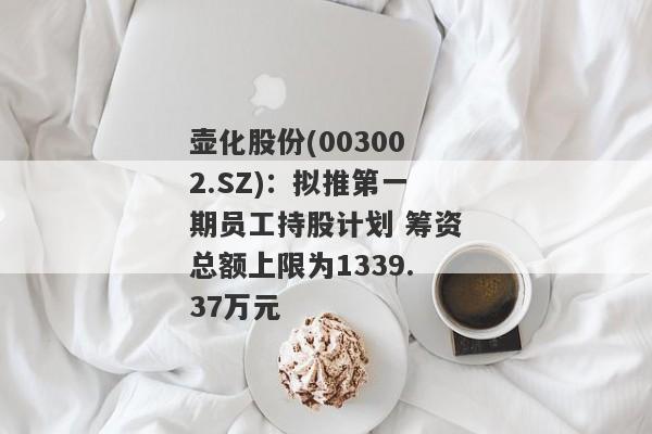 壶化股份(003002.SZ)：拟推第一期员工持股计划 筹资总额上限为1339.37万元